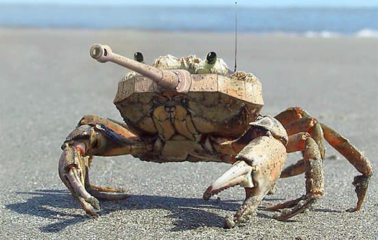 Tank crab